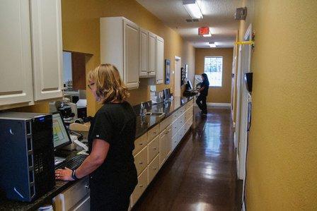 Spring Hill Animal Clinic