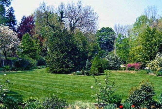 Florida's Green Thumb Lawn & Pest Control