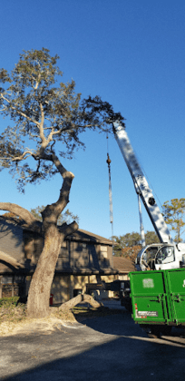 Walker Tree Service