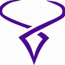 Taurus Insurance Professionals