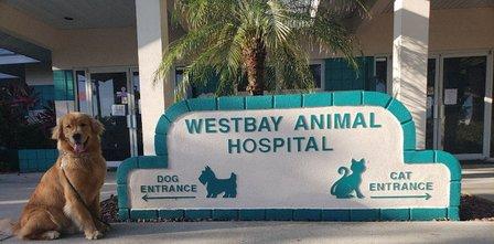 Westbay Animal Hospital