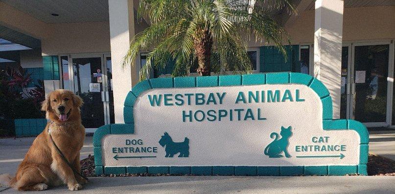 Westbay Animal Hospital