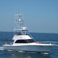 Charter Boat Shark