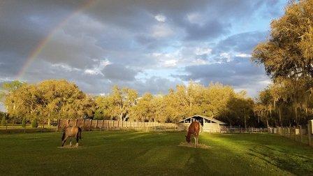 Ponyville Farm