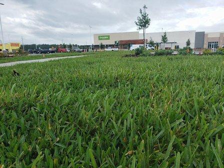 Quality Sod And Landscape, LLC