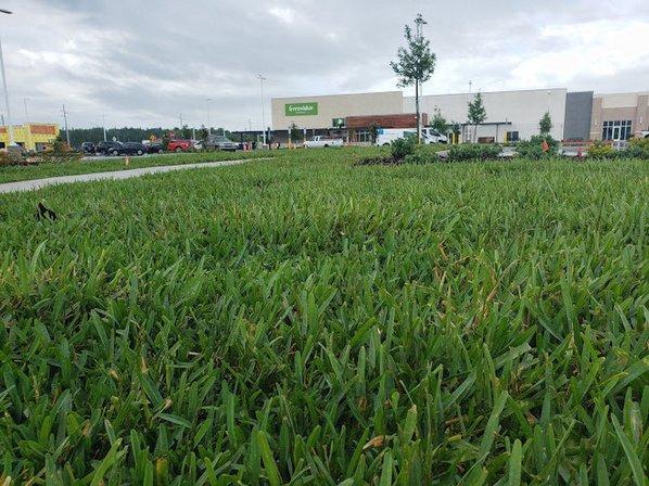 Quality Sod And Landscape, LLC