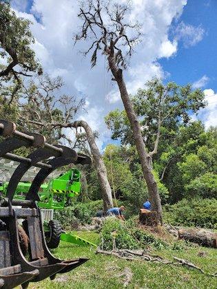 By The Bay Tree Service