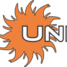 Unique Auto Tint