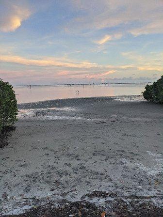 Bayshore Garden Recreation Parking