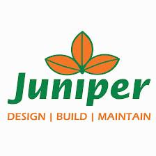 Juniper landscaping