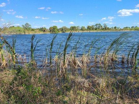 Scherer Thaxton Preserve