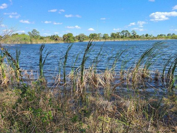 Scherer Thaxton Preserve
