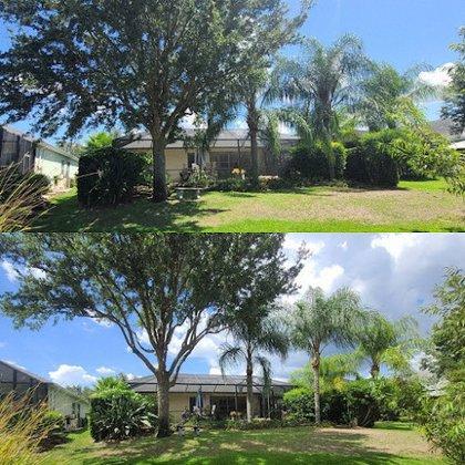 The Trusted Traveling Tree Trimmers LLC