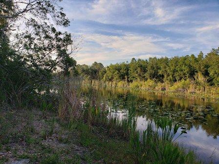 North Walk-in-Water Creek