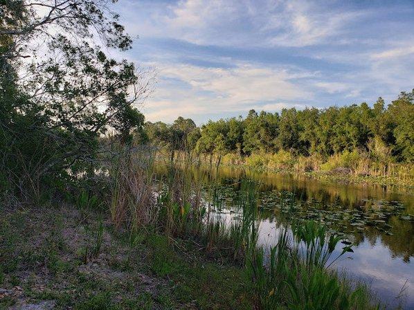 North Walk-in-Water Creek