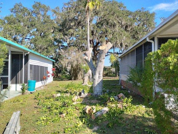 Tecos Total Tree LLC