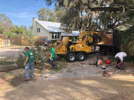Experienced Tree Service LLC