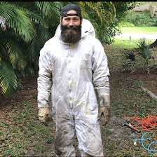 Sarasota Bee Removal Inc - Bee Removal, Bee Control, Honey Bee Removal, Wasp, Hornet, Yellow Jacket