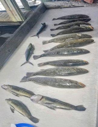 Captain Mark Zorn ( Capt Z Fishing Guide )