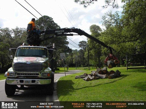 Boen's Tree Service