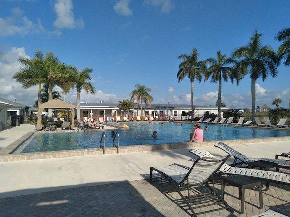 Harmony Pool