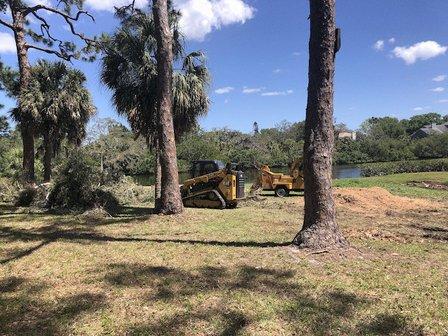 Royal Palm Tree Services SRQ