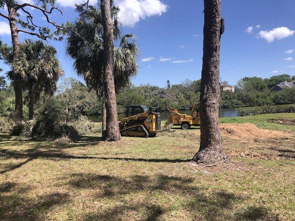 Royal Palm Tree Services SRQ