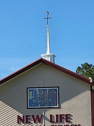 New Life Lutheran Church