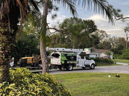Green Topps Tree Service & Landscaping