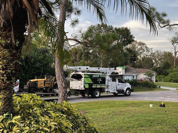 Green Topps Tree Service & Landscaping
