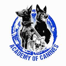 Academy Of Canines LLC