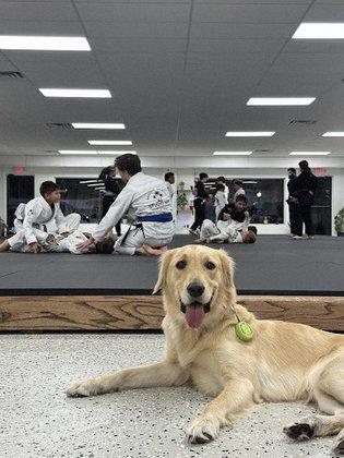 Studio NPR BJJ
