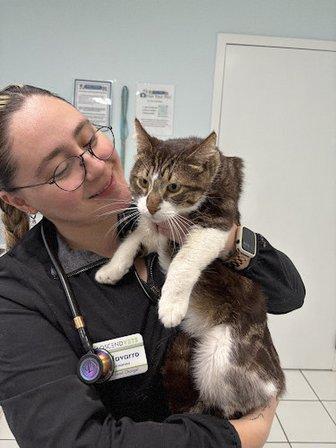 Main Street Veterinary Center