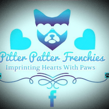 Pitter Patter Frenchies LLC