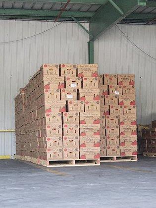 Pacific Tomato Growers