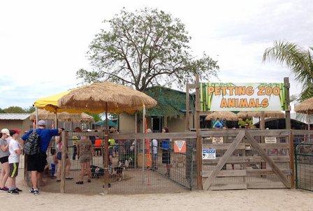 Big Cat Habitat