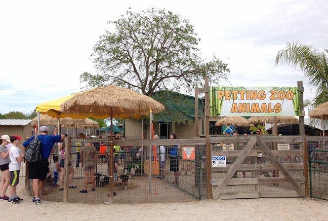 Big Cat Habitat