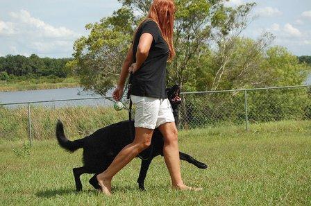 Academy Of Canines LLC
