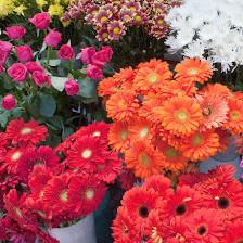 Hudson Flower Shop