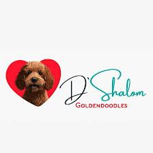 D’ Shalom Goldendoodles