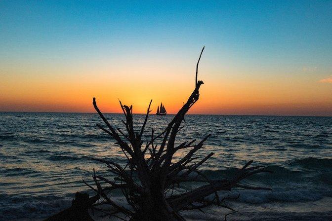 Alpha Photography - Bradenton