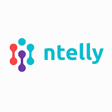 Ntelly Tax and Consulting