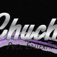 CHUCHI'S PRO ENTERPRISES INC