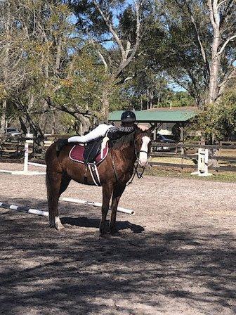 True Sky Stables