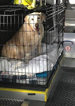 Vet Care Express