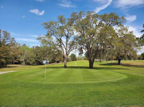 Golf Central Golf Club