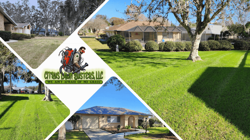 Citrus Lawn Busters, LLC.