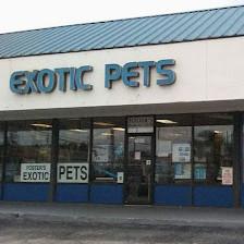Fosters Exotic Pet Center