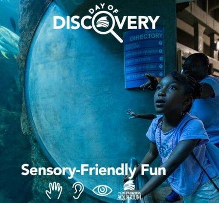 The Florida Aquarium: Day of Discovery