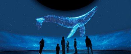 Dome After Dark: Surreal Nature